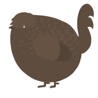 A bark chicken with a half-lace pattern