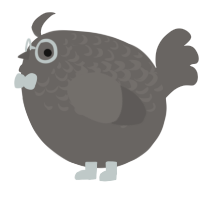 A grey chicken with a half-lace pattern