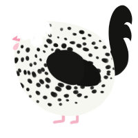A white and black chicken with a speckle pattern