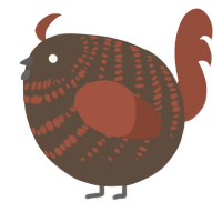 A bark and russet chicken with a bar pattern