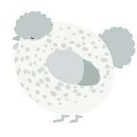 A white and silver chicken with a speckle pattern