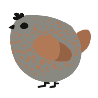 A ash and brown chicken with a speckle pattern