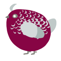 A maroon and silver chicken with a half-lace pattern