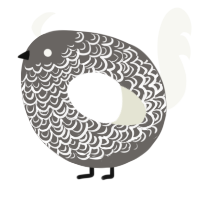 A grey and white chicken with a double-lace pattern