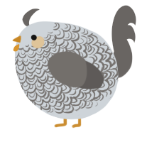 A mist and grey chicken with a double-lace pattern