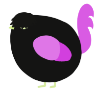 A black and orchid chicken