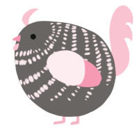 A grey and rose chicken with a bar pattern