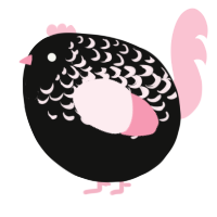 A black and rose chicken with a half-lace pattern