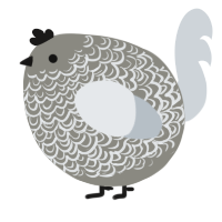 A ash and mist chicken with a double-lace pattern