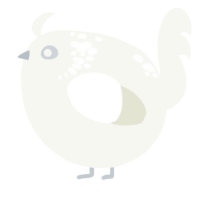 A white chicken with a neck-speckle pattern