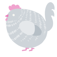 A mist chicken with a bar pattern