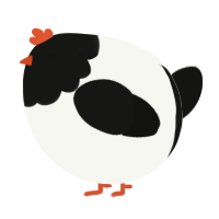A white and black chicken with a head pattern