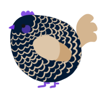 A tumblr and beige chicken with a lace pattern
