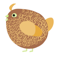 A brown and honey chicken with a double-lace pattern