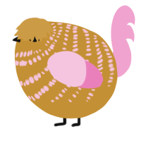 A gold and pink chicken with a bar pattern