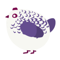 A white and overcast chicken with a half-lace pattern
