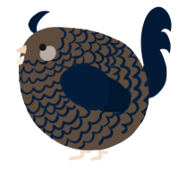 A bark and tumblr chicken with a lace pattern