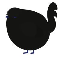 A black chicken with a double-lace pattern