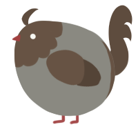 A ash and bark chicken with a head pattern