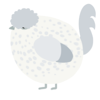 A white and mist chicken with a speckle pattern