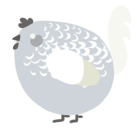 A mist and white chicken with a half-lace pattern