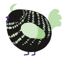 A sable and gluppy chicken with a bar pattern