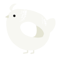 A white chicken with a neck-band pattern