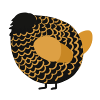 A black and orange chicken with a lace pattern