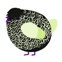 A black and apple chicken with a double-lace pattern