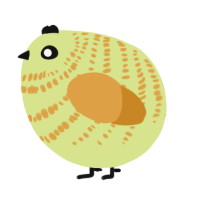 A lemon and orange chicken with a bar pattern
