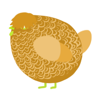 A ochre and honey chicken with a double-lace pattern