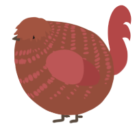 A russet and red chicken with a bar pattern