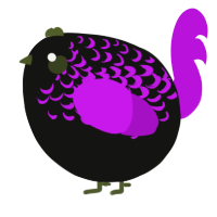 A black and amethyst chicken with a half-lace pattern