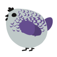 A silver and overcast chicken with a half-lace pattern