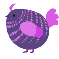 A overcast and orchid chicken with a bar pattern