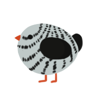 A silver and black chicken with a bar pattern