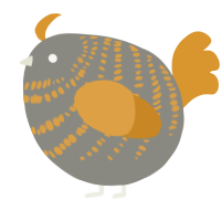 A ash and orange chicken with a bar pattern
