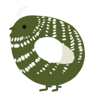 A olive and white chicken with a bar pattern
