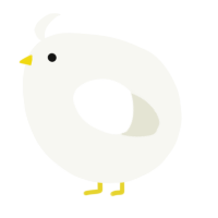 A white chicken