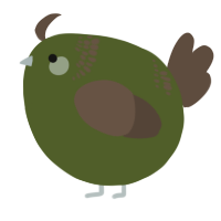 A olive and bark chicken with a neck-band pattern