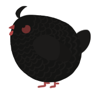 A black and sable chicken with a lace pattern
