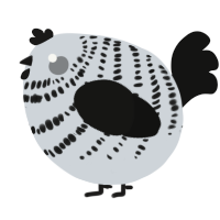 A mist and black chicken with a bar pattern