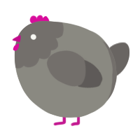 A ash and grey chicken with a head pattern