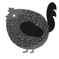 A grey and sable chicken with a double-lace pattern