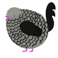 A ash and black chicken with a lace pattern