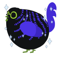 A black and indigo chicken with a half-bar pattern