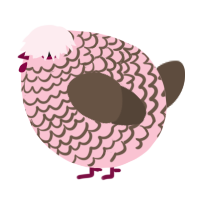 A rose and bark chicken with a lace pattern