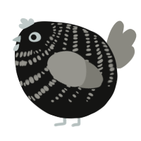 A black and ash chicken with a bar pattern