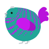 A turquoise and amethyst chicken with a bar pattern