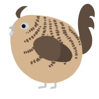 A beige and bark chicken with a half-bar pattern